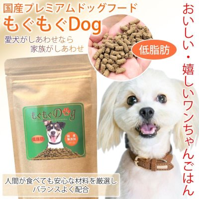 画像1: 無添加国産腸活ドッグフード もぐもぐdog 低脂肪100ｇ